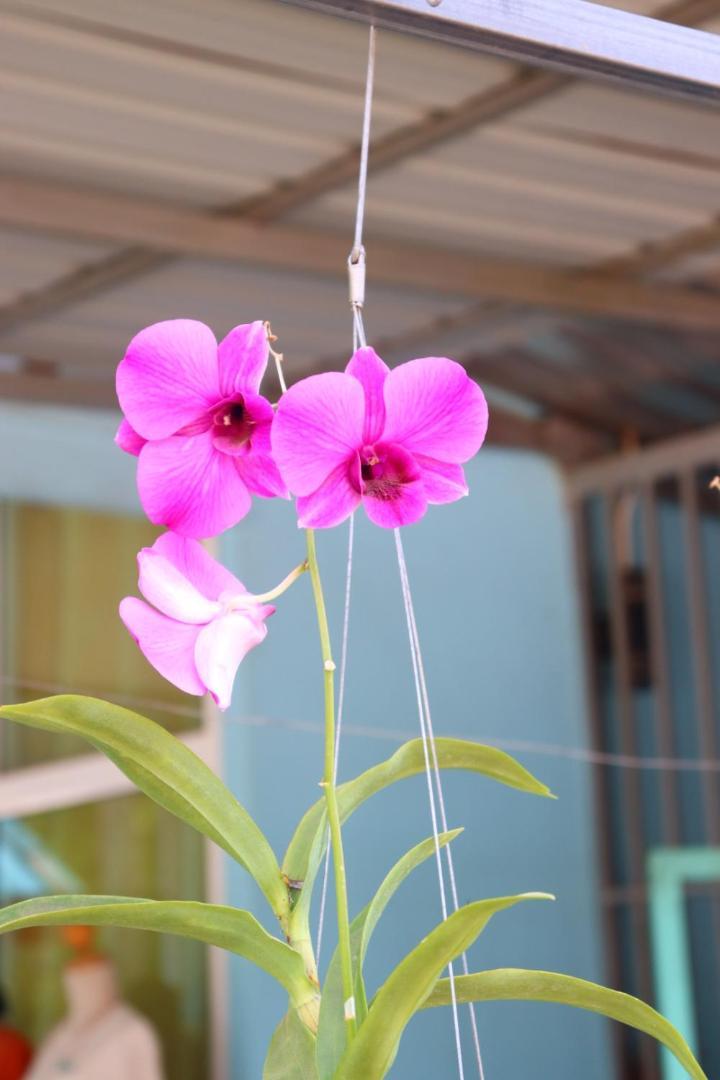 Baanrimklong Bungalow Koh Chang Dış mekan fotoğraf